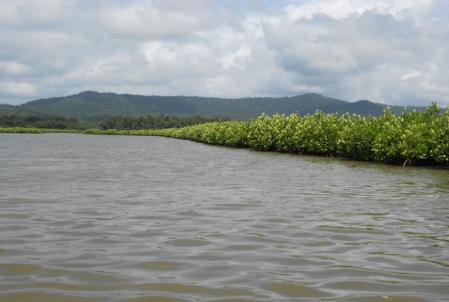 Aganashini Backwaters