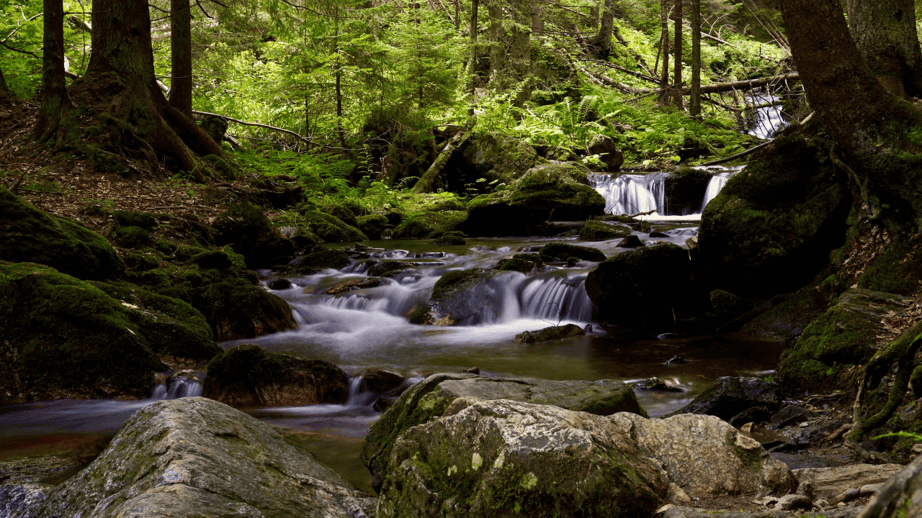 Nature artustry image