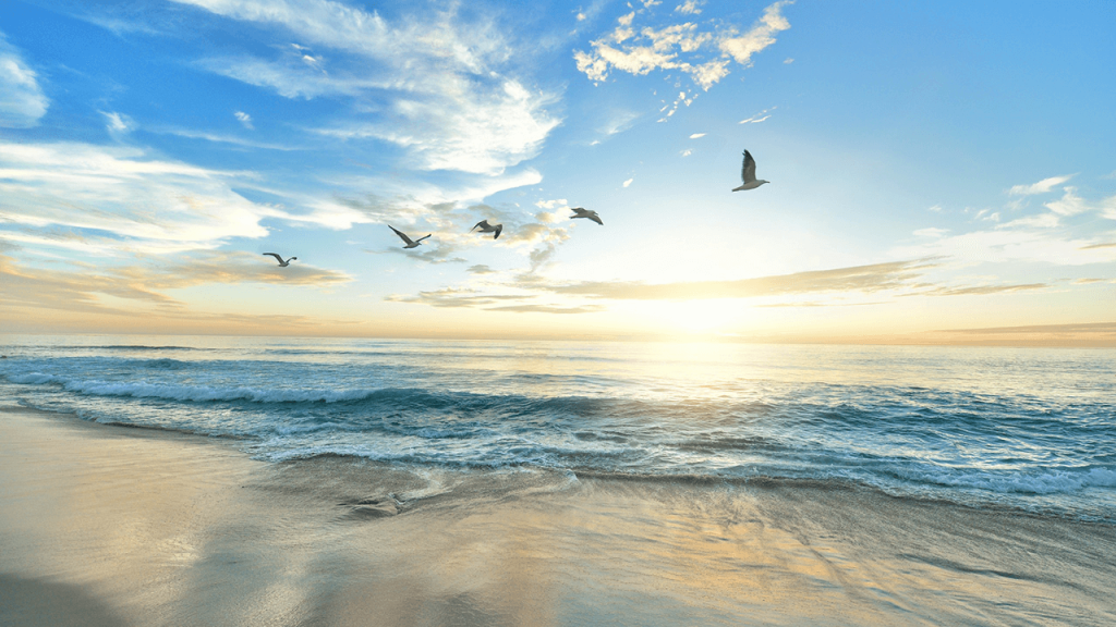 where every tide tells a story