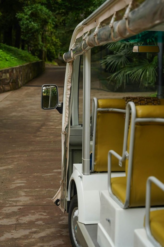 Buggy Rides