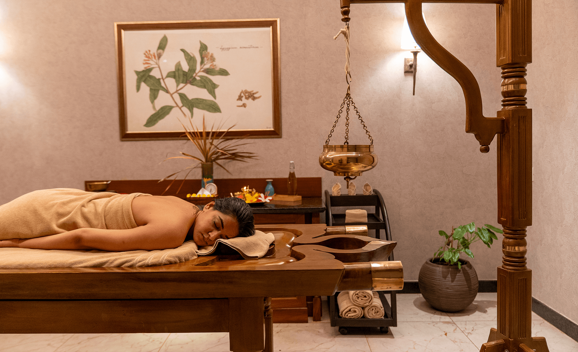 Rejuvenation
